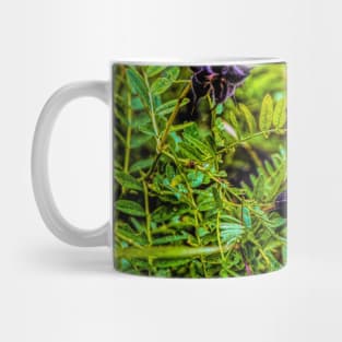 Weed or flower that is the question. Mug